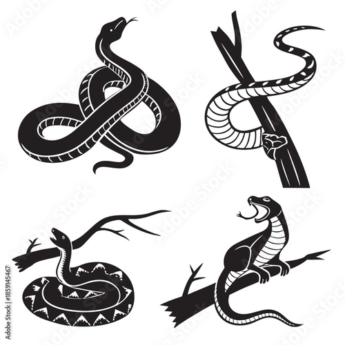 Illustrations of snakes