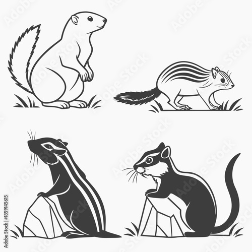 Four different squirrel illustrations