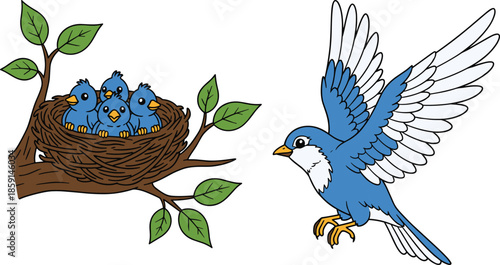 Cute blue birds family illustration with parent bird flying to nest and baby chicks cartoon nature wildlife vector design
