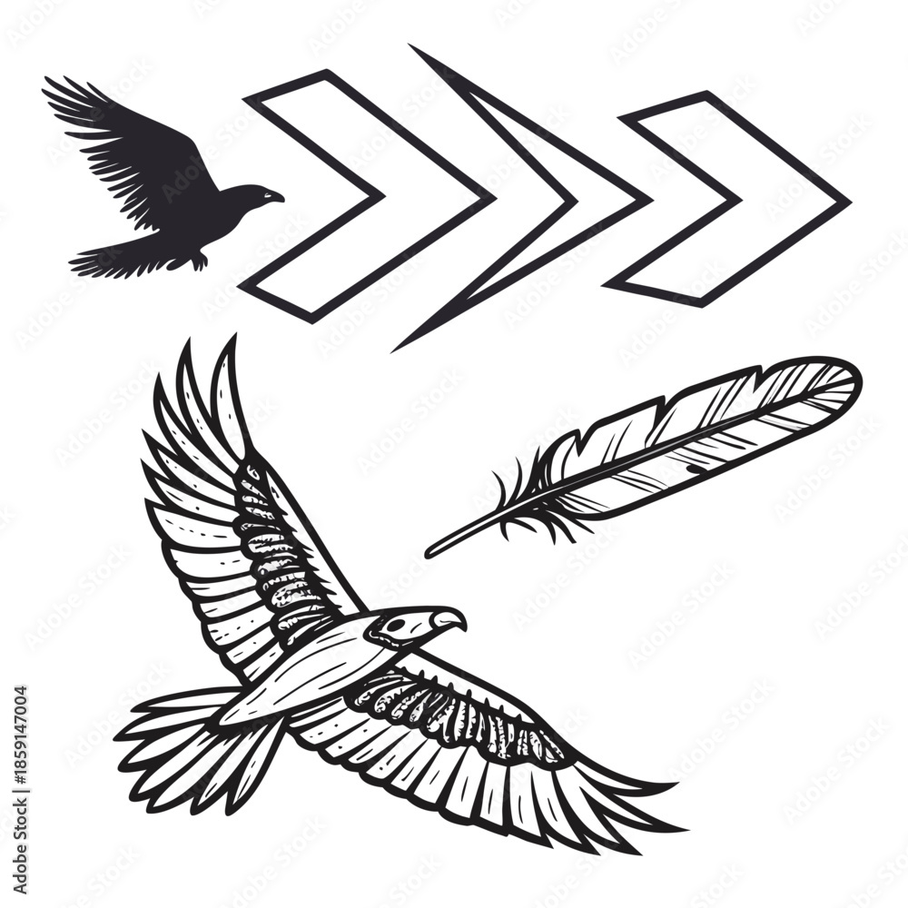 Fototapeta premium Bird silhouettes and feather illustration