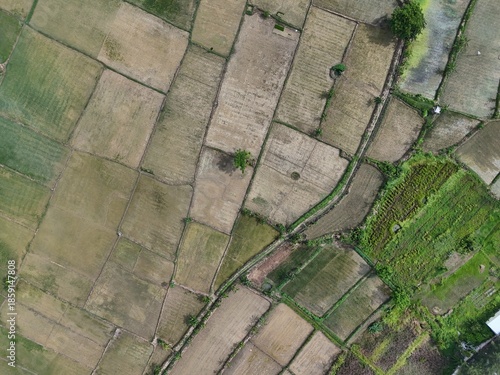Aerial view of rural farmland with patchwork agricultural fields and irrigation channels