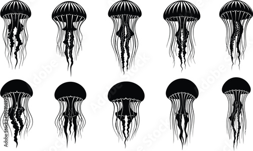 Jellyfish vector illustration set, marine sea creatures silhouettes, underwater wildlife collection, black and white ocean animals, elegant aquatic line art design