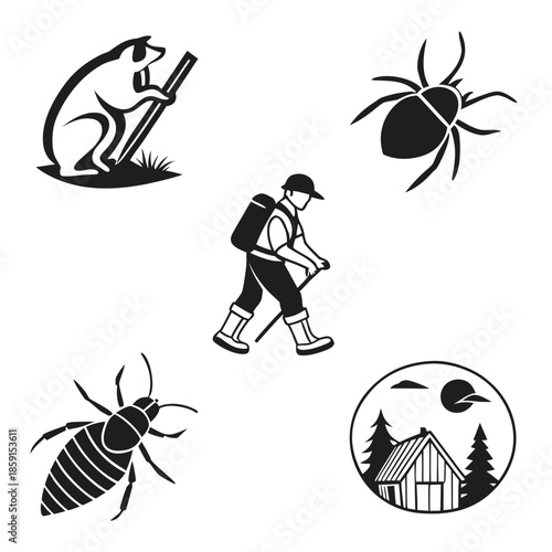 Outdoor adventure with insects