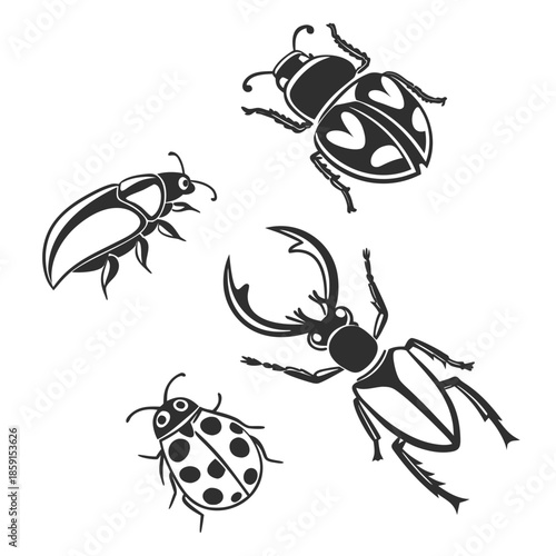 Illustration of various beetles