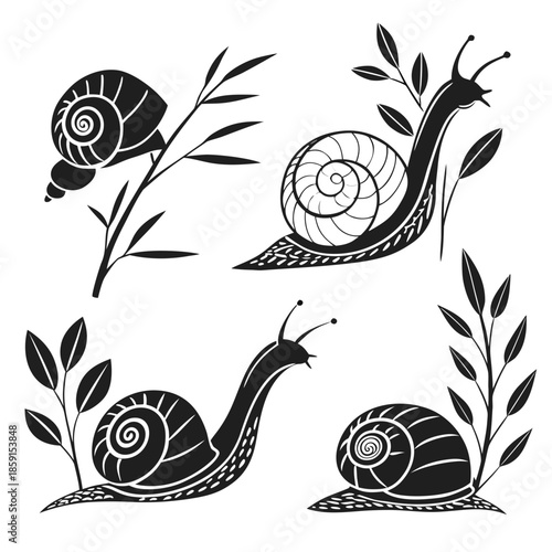 Black and white snail illustrations