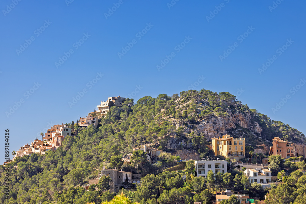 Fototapeta premium Hill with residential houses and lush green trees