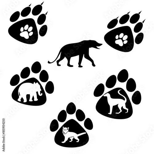 Wildlife paw prints