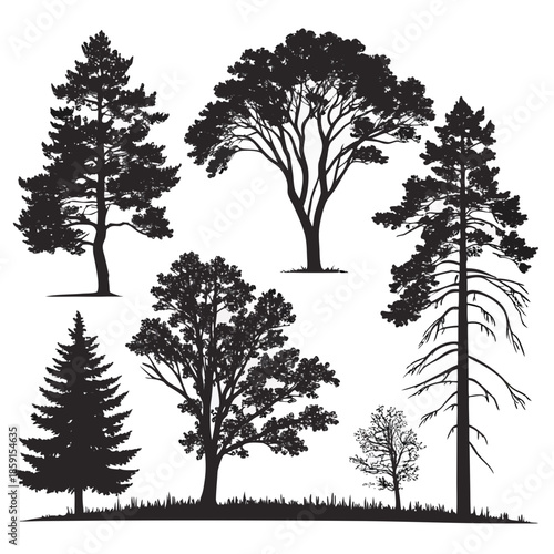 Silhouettes of various trees
