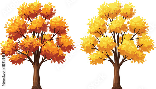 Autumn trees vector illustration with yellow and orange foliage isolated on white background seasonal nature design flat style decorative graphic