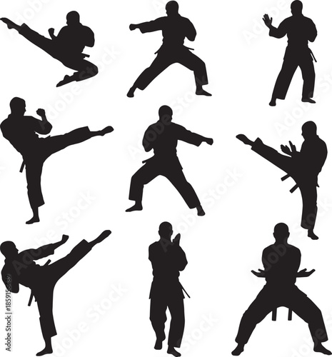 Collection of martial arts silhouettes and fighting poses