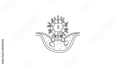 A black and white line drawing of a spherical virus with spikes interacting with a biological structure, with round shapes inside