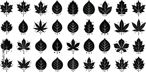 Black leaf silhouette collection, botanical vector set, diverse leaf shapes, nature design elements, plant identification, foliage art, minimalist illustration
