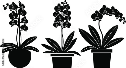Large vector illustration collection featuring black cat silhouettes, yoga poses, sitting people, marine life like whales and sharks, mushrooms, and potted orchid plants. (Exactly 24 words)