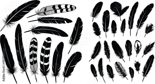 Vector collection of bird feathers in black and white silhouette style, featuring diverse wing quill plumes and decorative artistic feather sketches for graphic design