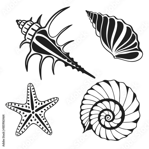 Collection of seashells and starfish