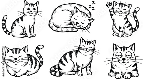 cat sticker vector. Lovely kitten doodle pattern in different poses and breeds. Adorable funny pet and many characters hand drawn collection for T-shirt, sticker, print, pet shop.
