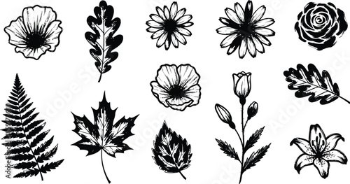  abstract vector floral pattern design element featuring black flower, leaf, and branch silhouettes for art decoration and illustration