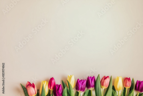 Colorful tulips lined up at the bottom with a beige background and copy space
