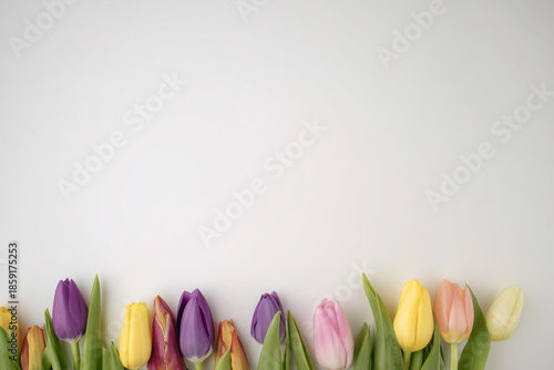 Colorful tulips lined up at the bottom with a beige background and copy space
