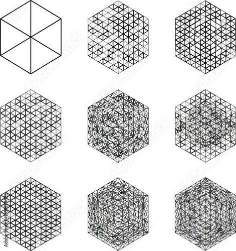 Vector illustration of geometric design with a simple wire frame cube in the first evolving into complex abstract patterns. set of hexagon patterns. 