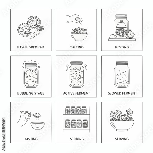 A detailed illustration of the fermentation process from raw ingredients to serving