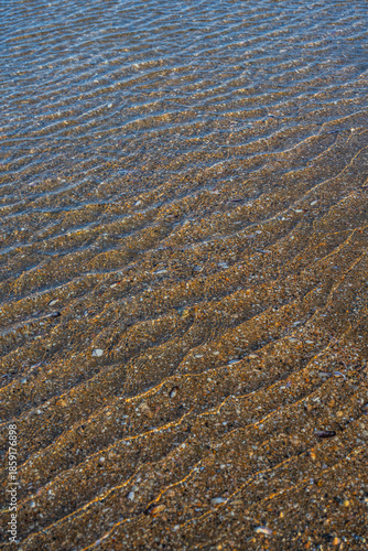 Shallow Water Ripples Over Sandy Seabed