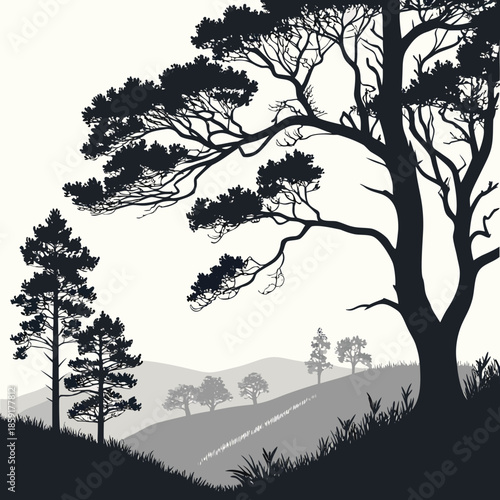 Silhouette of trees in a landscape