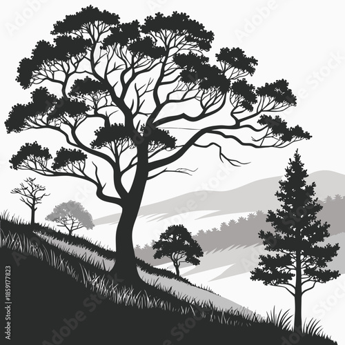 Silhouette of a tree on a hillside