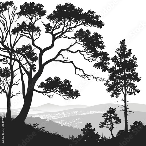 Silhouette of trees overlooking a landscape