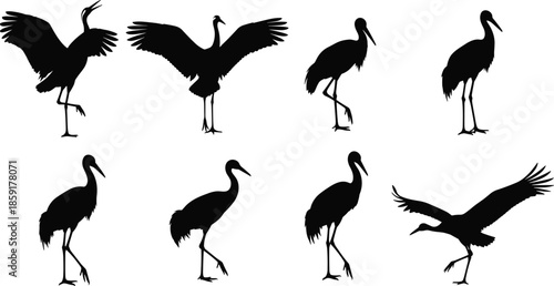 Collection of Eight Crane Bird Silhouettes in Various Poses, including Standing, Walking, and Flying, Black and White Vector Illustration for Wildlife and Nature