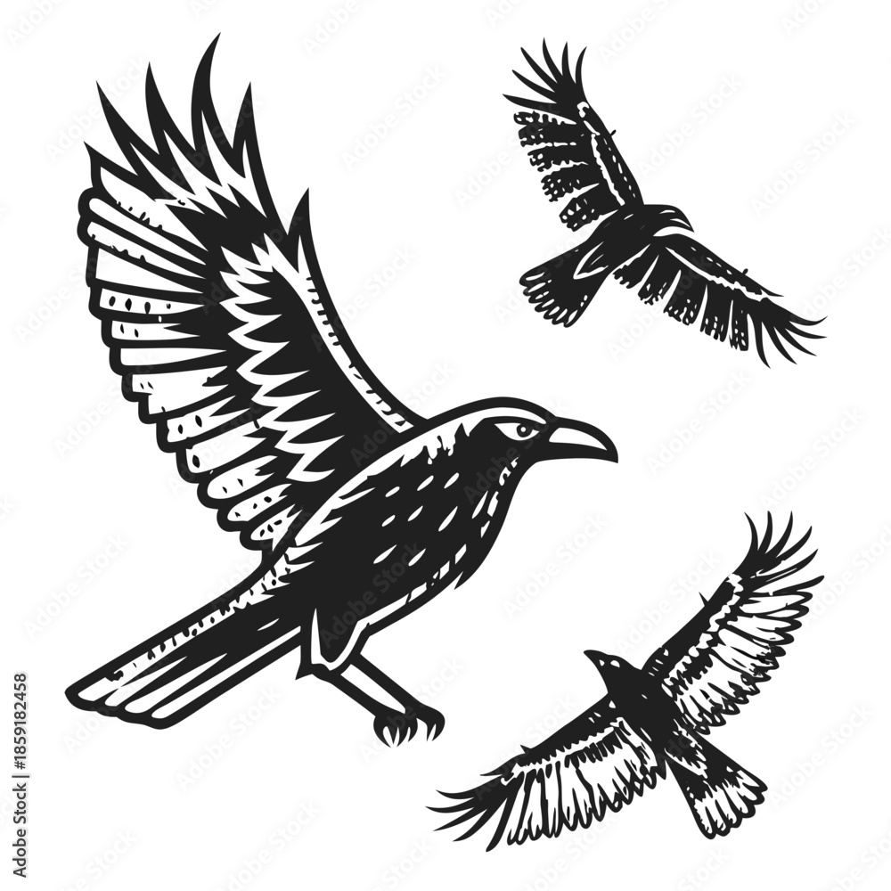 Obraz premium Three birds in flight