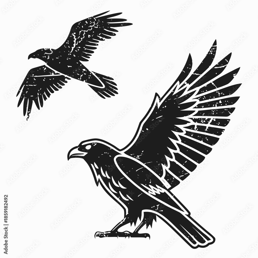 Obraz premium Two eagles in flight