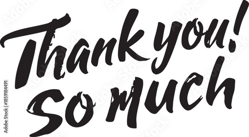 Handwritten script text saying Thank you so much in black ink with a white background lettering