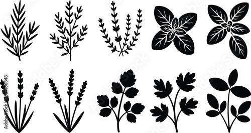 Herb and Botanical Leaf Silhouettes Set with Rosemary Lavender Basil, Black Floral Plant Icons Isolated on White Background