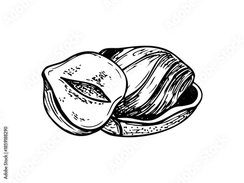 Halved kernel and whole hazelnut in shell monochrome vector isolated illustration. Etching hand drawing of peeled nuts. Healthy snack for healthy food packaging, nutrition blogs, cooking websites