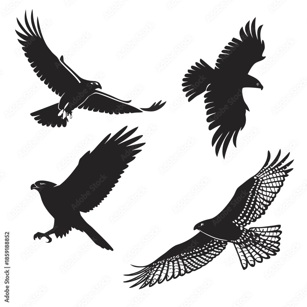 Obraz premium Silhouettes of birds in flight