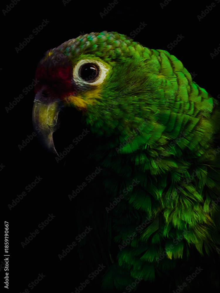 Obraz premium A tight profile shot of a green parrot, emphasizing the circular white patch around the eye and the texture of the neck feathers.