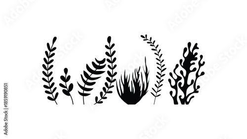 Elegant black silhouettes of various aquatic plants and coral against a clean white background.