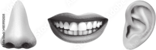 A grayscale composition featuring a nose a smiling mouth and an ear