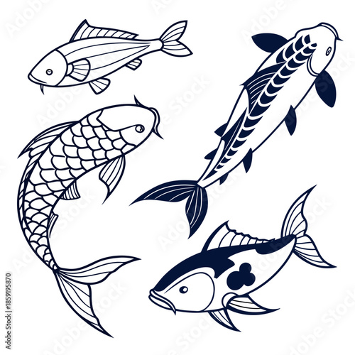 Koi fish illustrations
