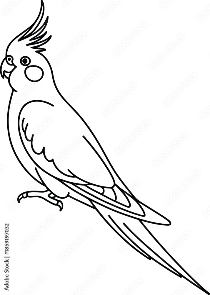 Obraz premium Adobe Illustrator Artwork