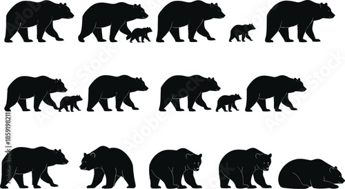Black bear silhouette family vector collection with adult bears and cubs in various walking, standing and resting wildlife poses