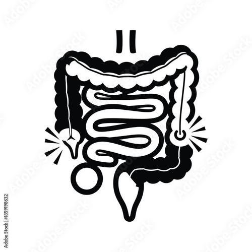 Human Digestive System Simple Illustration