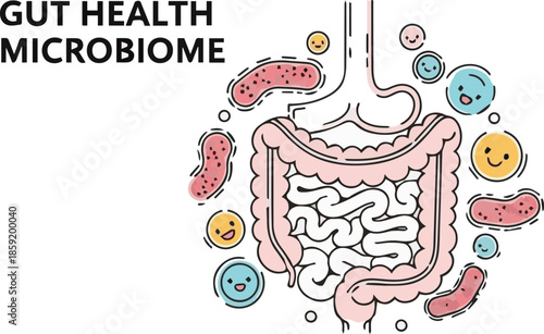 Vibrant illustration of a healthy human digestive system surrounded by cheerful probiotic bacteria, symbolizing the crucial role of a balanced gut microbiome for overall well-being and internal health