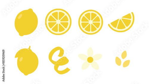 Vibrant yellow lemon fruit elements, slices, peel, and flower on white background