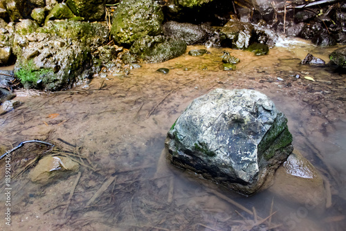 Potrait of rocks in the river