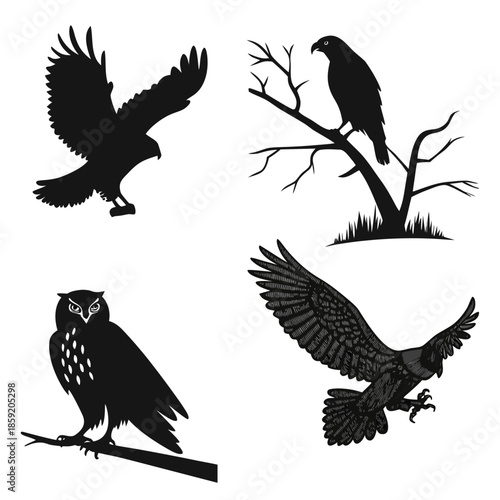 Bird silhouettes