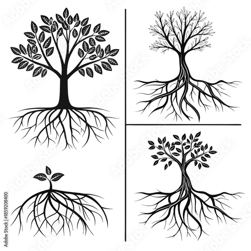 Tree silhouettes with roots