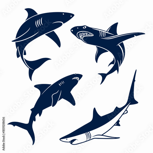 Shark silhouettes