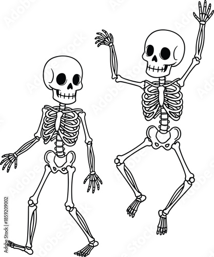 Dancing skeletons, cartoon anatomy, playful bone structure, Halloween theme, black and white illustration, dynamic pose, educational vector, spooky character design